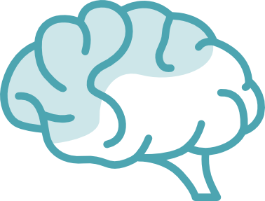 Simple blue line drawing of a human brain, showing the left and right hemispheres with basic curves and folds, representing affordable health care on a transparent background.
