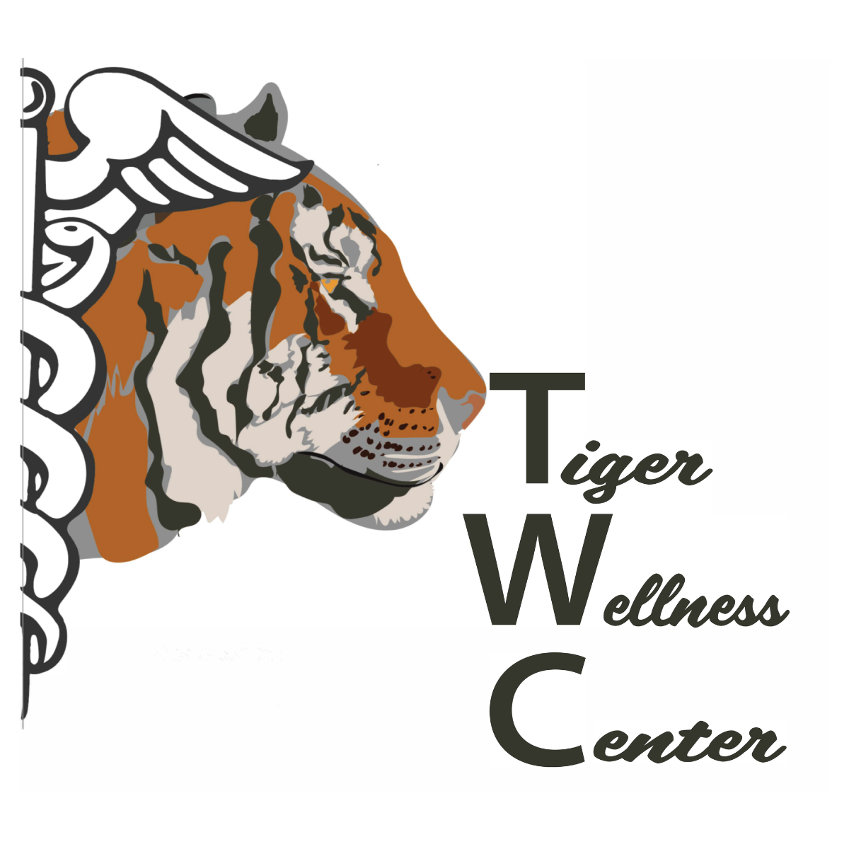 An illustrated logo features a tigers head next to a caduceus symbol, with Tiger Wellness Center arranged vertically, emphasizing the initials TWC—highlighting affordable health care in Grand Junction Health Care.